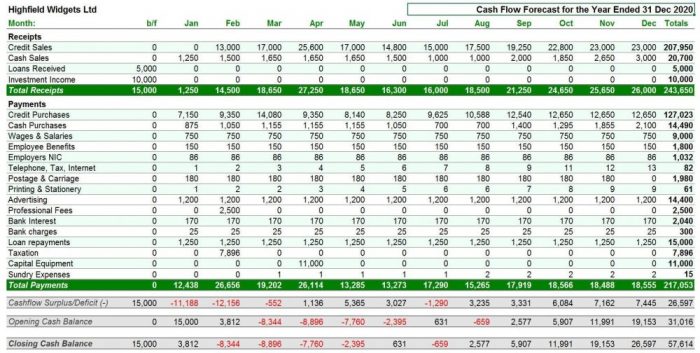 Sam's cash flow template