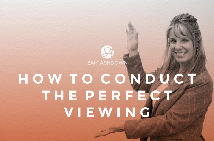 How to conduct the perfect viewing