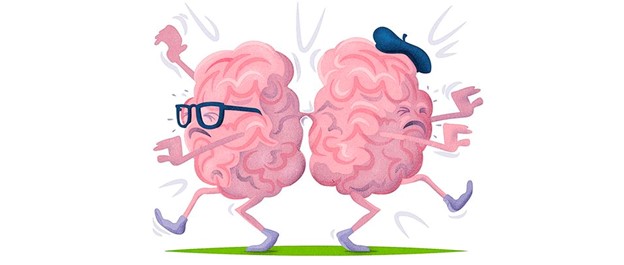A cartoon illustration of left-brain and right-brain