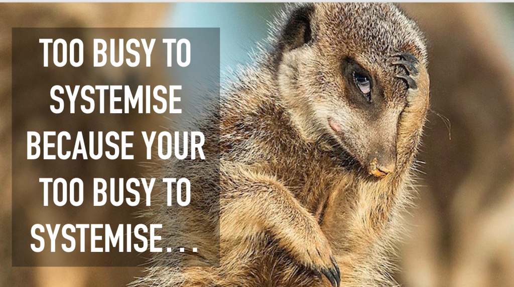Quote about "Too busy to systemise because your too busy to systemise…"